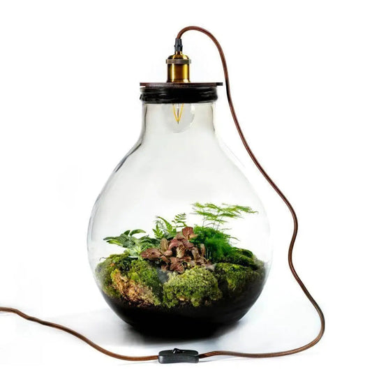 Ecolight XL -  Growing Concepts -  Growing Concepts