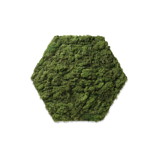 Hexagon Groen -  Growing Concepts -  Growing Concepts